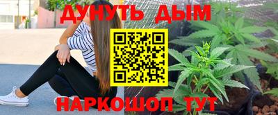 гашик Донской