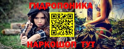 гашик Донской