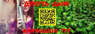 гашик Донской