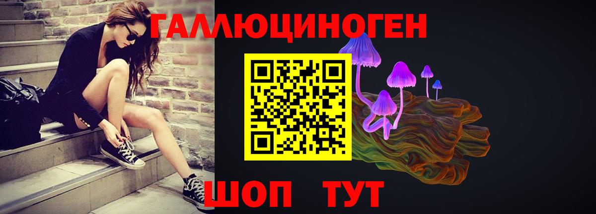 Псилоцибиновые грибы Psilocybine cubensis  Вход с VPN  Новоалтайск  купить наркоту  Псилоцибиновые грибы Psilocybe 